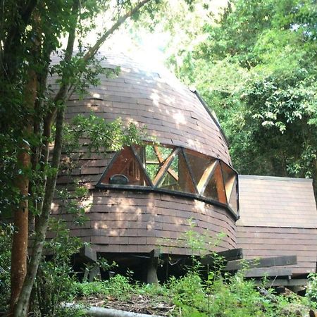 Appartamento Domos Hijos Del Bosque Coñaripe Esterno foto