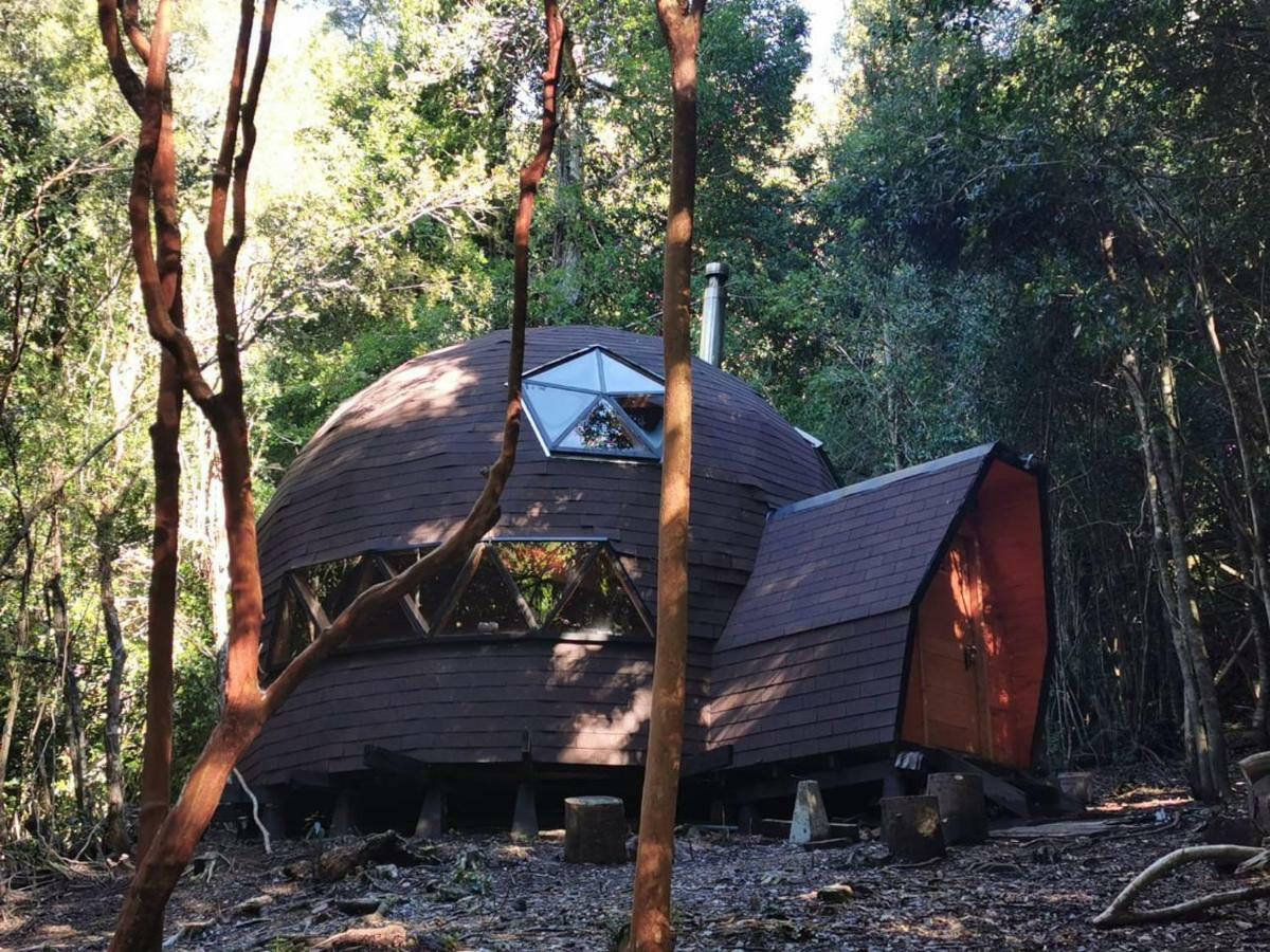 Appartamento Domos Hijos Del Bosque Coñaripe Esterno foto